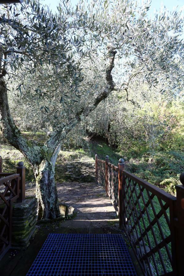 Molino Del Rotone Guest House Buti Bagian luar foto